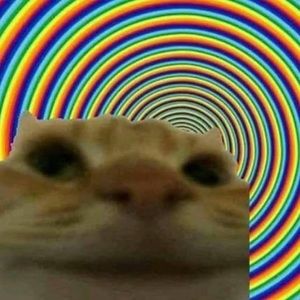 Meet your Posher, Selena